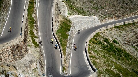 Climbing for Life